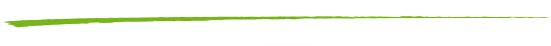 linie_gruen